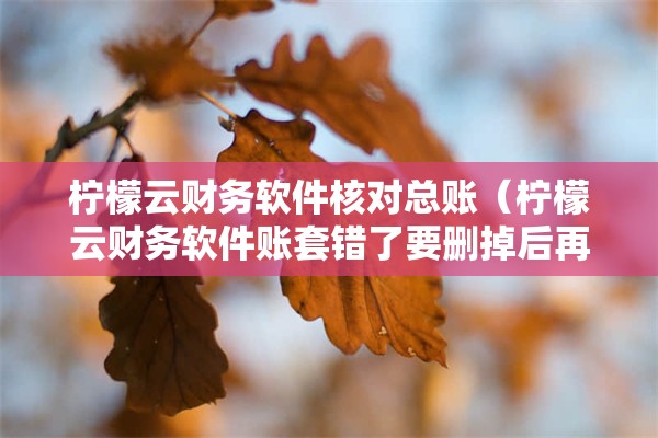 柠檬云财务软件核对总账（柠檬云财务软件账套错了要删掉后再新建吗）