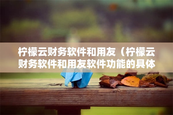 柠檬云财务软件和用友（柠檬云财务软件和用友软件功能的具体区别）