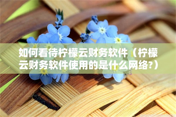 如何看待柠檬云财务软件（柠檬云财务软件使用的是什么网络?）