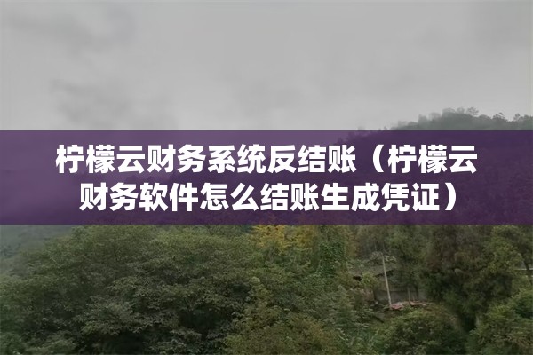 柠檬云财务系统反结账（柠檬云财务软件怎么结账生成凭证）