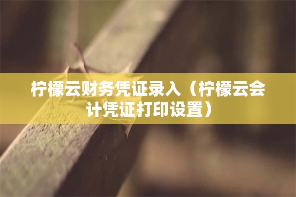 柠檬云财务凭证录入（柠檬云会计凭证打印设置）