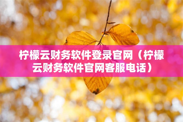 柠檬云财务软件登录官网（柠檬云财务软件官网客服电话）