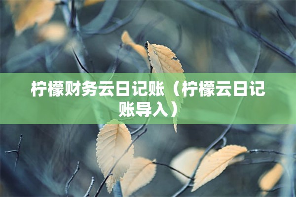 柠檬财务云日记账（柠檬云日记账导入）