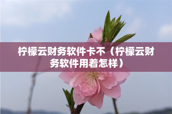 柠檬云财务软件卡不（柠檬云财务软件用着怎样）