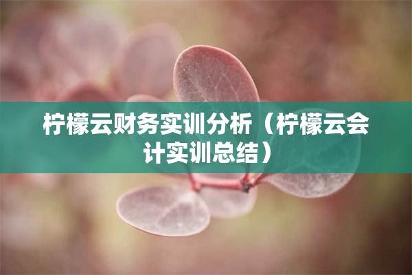 柠檬云财务实训分析（柠檬云会计实训总结）