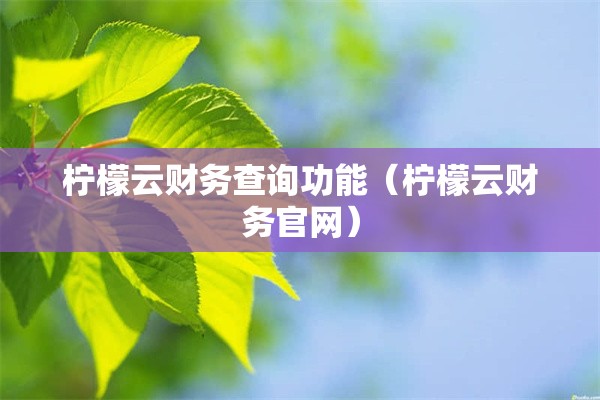 柠檬云财务查询功能（柠檬云财务官网）