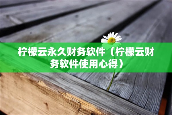 柠檬云永久财务软件（柠檬云财务软件使用心得）