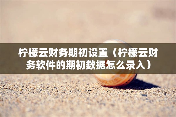 柠檬云财务期初设置（柠檬云财务软件的期初数据怎么录入）