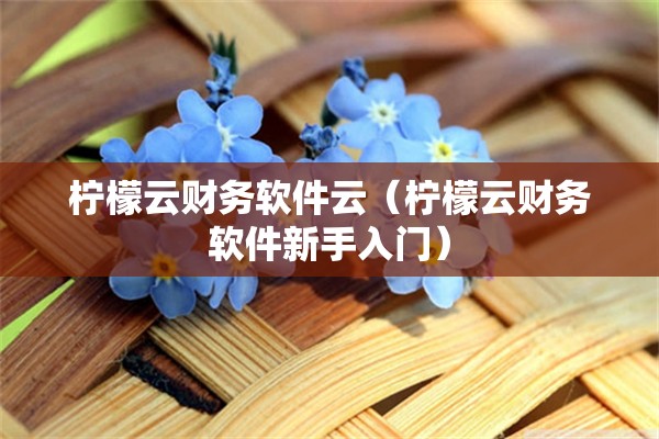 柠檬云财务软件云（柠檬云财务软件新手入门）