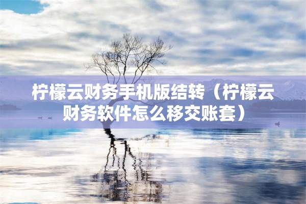 柠檬云财务手机版结转（柠檬云财务软件怎么移交账套）