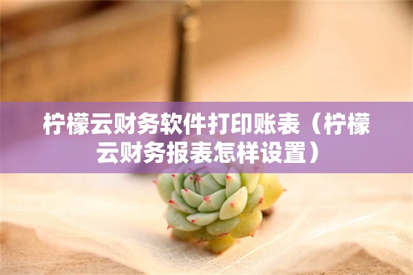 柠檬云财务软件打印账表（柠檬云财务报表怎样设置）