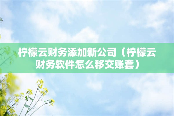 柠檬云财务添加新公司（柠檬云财务软件怎么移交账套）