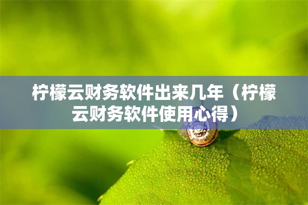 柠檬云财务软件出来几年（柠檬云财务软件使用心得）