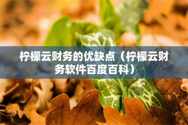 柠檬云财务的优缺点（柠檬云财务软件百度百科）