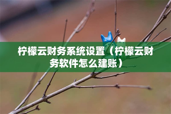 柠檬云财务系统设置（柠檬云财务软件怎么建账）