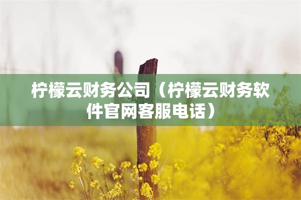 柠檬云财务公司（柠檬云财务软件官网客服电话）