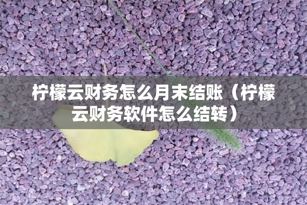 柠檬云财务怎么月末结账（柠檬云财务软件怎么结转）