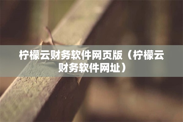 柠檬云财务软件网页版（柠檬云财务软件网址）