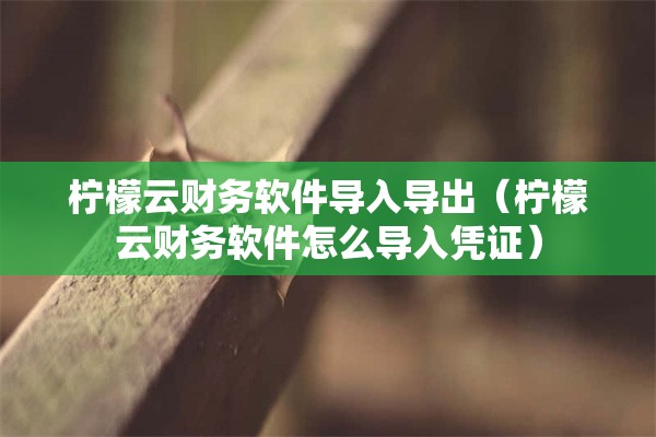 柠檬云财务软件导入导出（柠檬云财务软件怎么导入凭证）