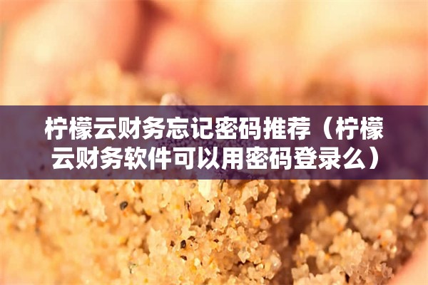 柠檬云财务忘记密码推荐（柠檬云财务软件可以用密码登录么）