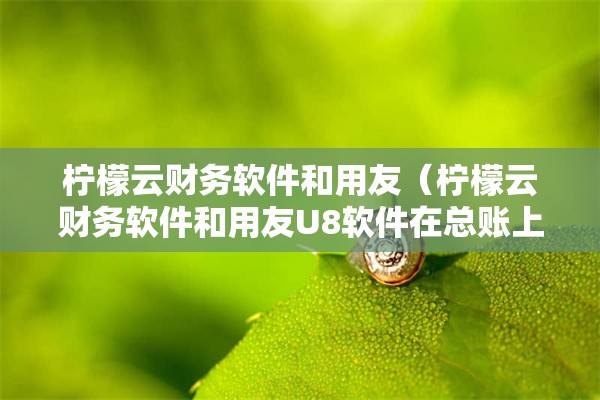 柠檬云财务软件和用友（柠檬云财务软件和用友U8软件在总账上有什么不同）