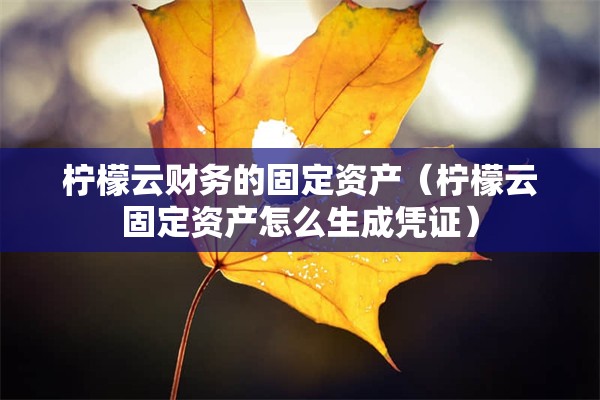 柠檬云财务的固定资产（柠檬云固定资产怎么生成凭证）